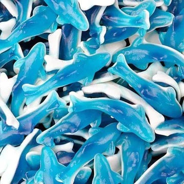 Pack of 10 Giant Dolphin Jelly Sweets